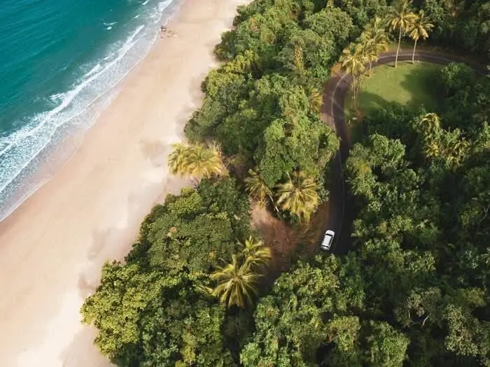 Aerial view of rainforest meeting the coastal waters at Etty Bay