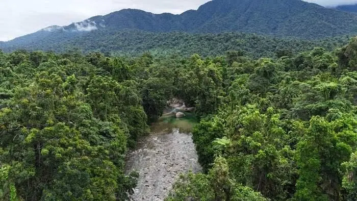 View of Hippy Pool through the Wet Tropics rainforest with the Bellenden Ker Range in the background