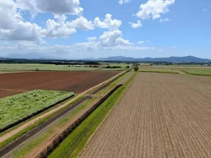 Aerial view of sugar cane farms surrounding Innisfail on the Cassowary Coast