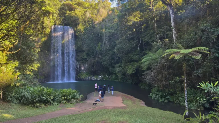 Millaa Millaa Falls surrounded by rainforest, Atherton Tablelands