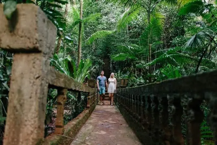 Visitors crossing the suspension bridge at Paronella Park